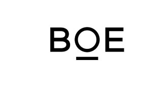 BOE_Original genuine panel