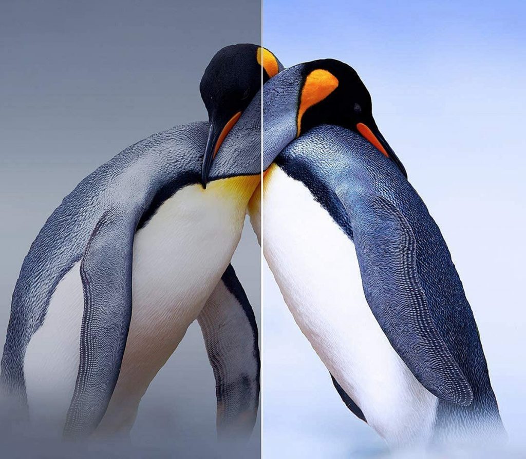  - Technology News - 2